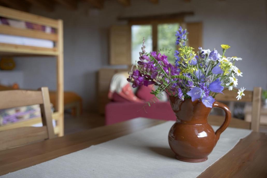 Hostel Mas Rural El Negre Ogassa Zewnętrze zdjęcie