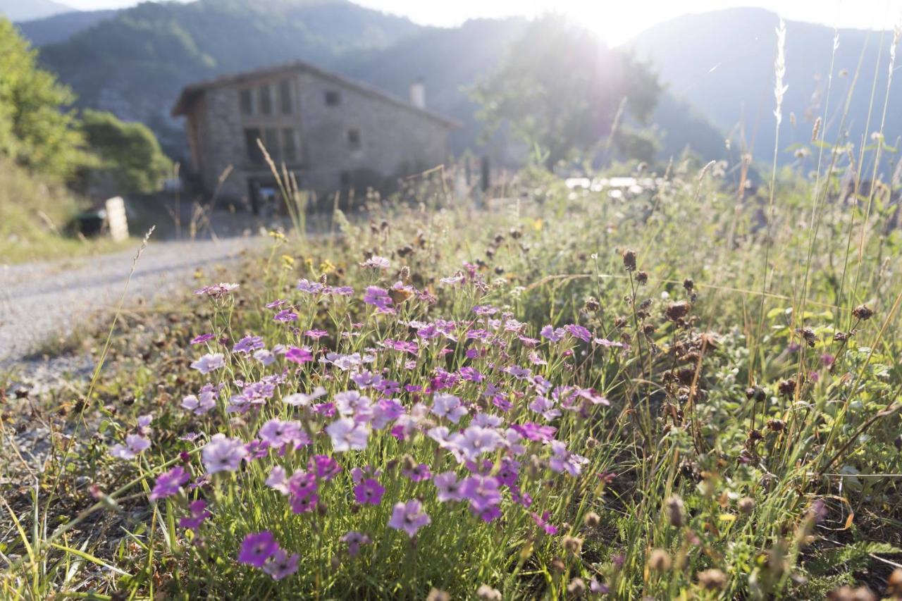 Hostel Mas Rural El Negre Ogassa Zewnętrze zdjęcie