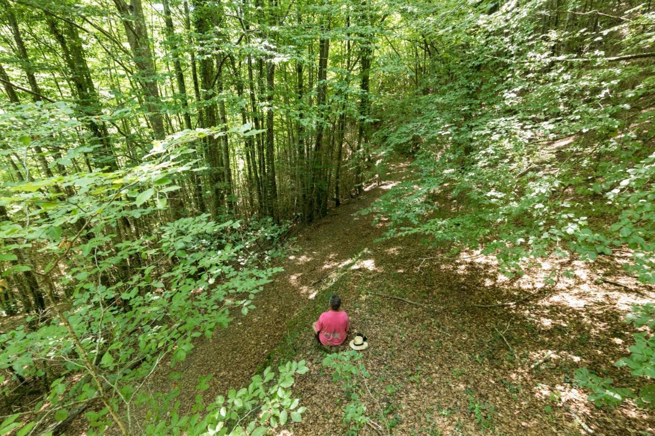 Hostel Mas Rural El Negre Ogassa Zewnętrze zdjęcie