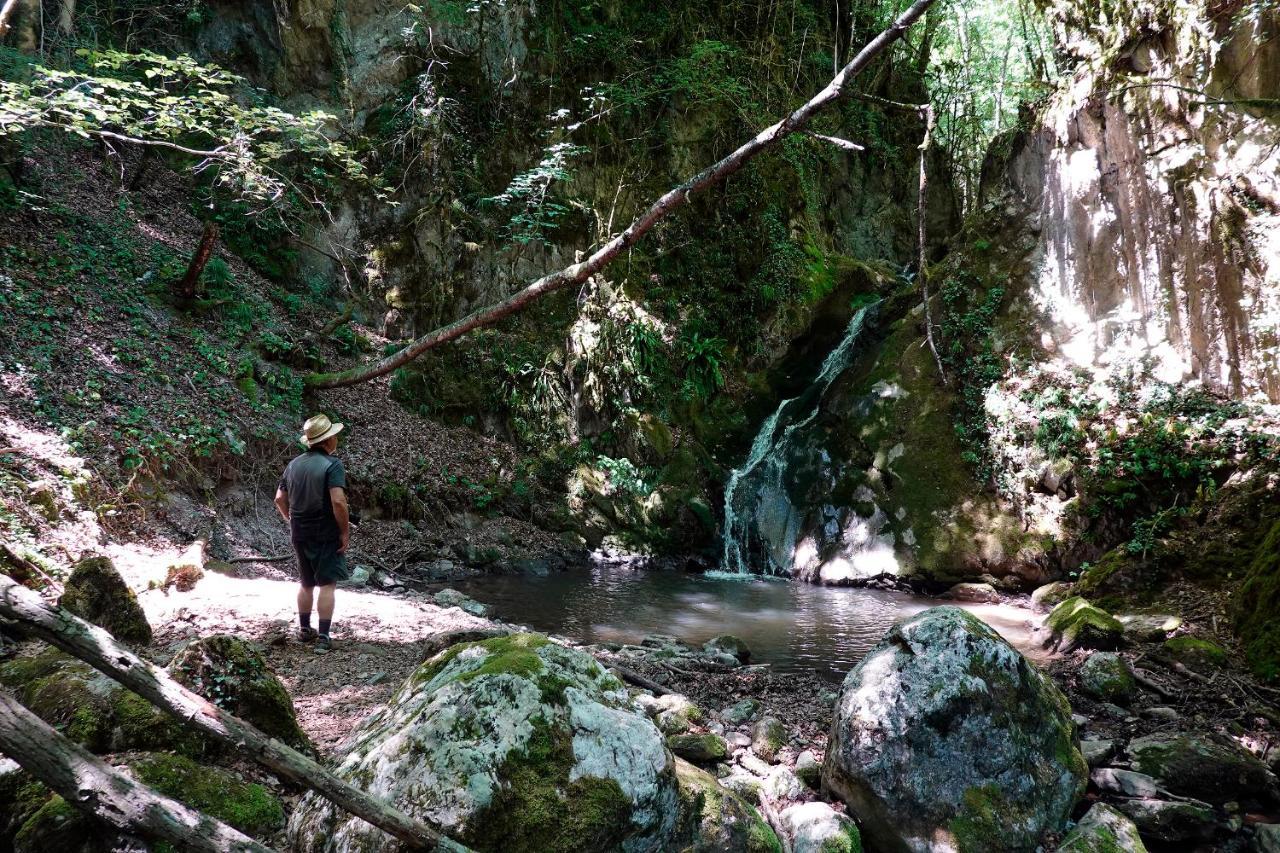 Hostel Mas Rural El Negre Ogassa Zewnętrze zdjęcie