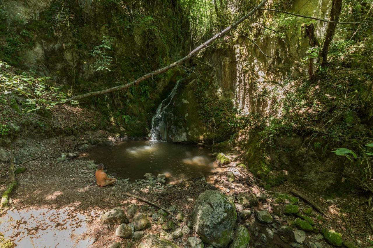 Hostel Mas Rural El Negre Ogassa Zewnętrze zdjęcie