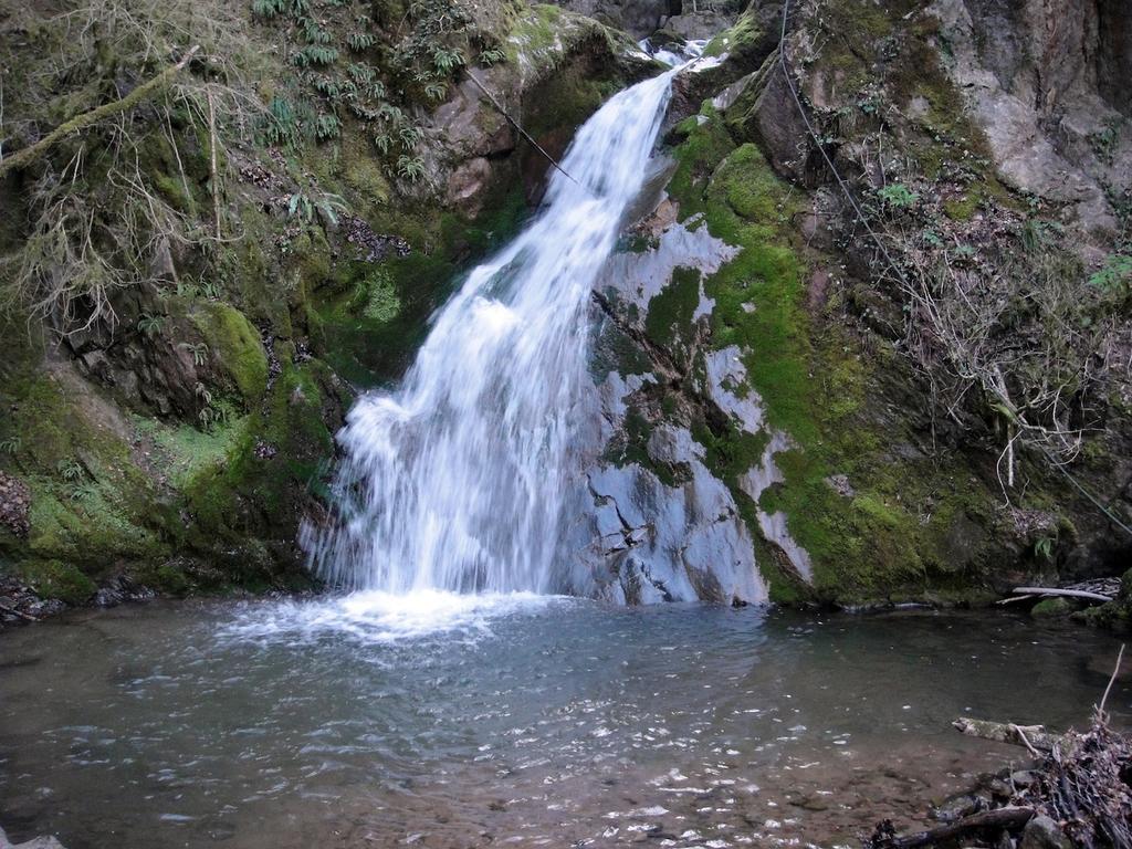 Hostel Mas Rural El Negre Ogassa Zewnętrze zdjęcie